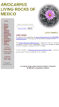Mobile Screenshot of living-rocks.com