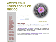 Tablet Screenshot of living-rocks.com